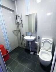 Blk 241 Hougang Heights (Hougang), HDB 4 Rooms #624515241